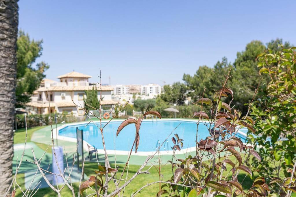 Casa Lilly-Rose, A Beautiful 3 Bedroom Detached Villa A Short Walk To The Villamartin Plaza & Golf Course Exteriér fotografie